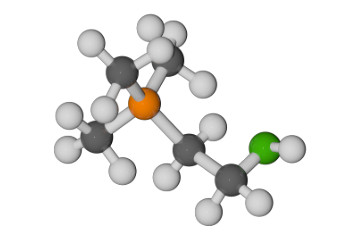 Pansengeschütztes Cholinchlorid