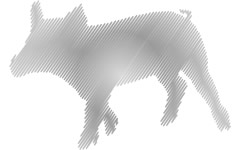 Ferkel